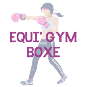 Equigym boxe